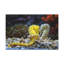 No Frame Print on Canvas-891101398