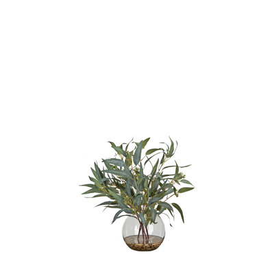 Fruited Eucalyptus in Glass Bubble Bowl