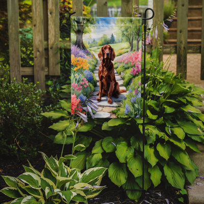 Drapeau irlandais Setter Spring Spring Garden