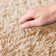 Machine Tufted Shag Area Rug
