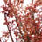 24" Fall Harvest Burgundy Berry Artificial Wreath - Unlit