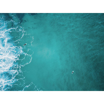 Aerial Surfers VI Print by David Erickson
