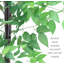 Ficus artificiel en pot-573331819-573331798