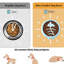 Mangeoire pour poissons Fun Fun