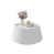 Cream White sélectionné