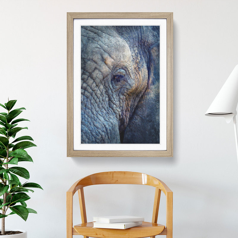 Blue Elephant - Picture Frame Photograph Print, 45cm H x 33cm W x 2cm D, Oak Framed