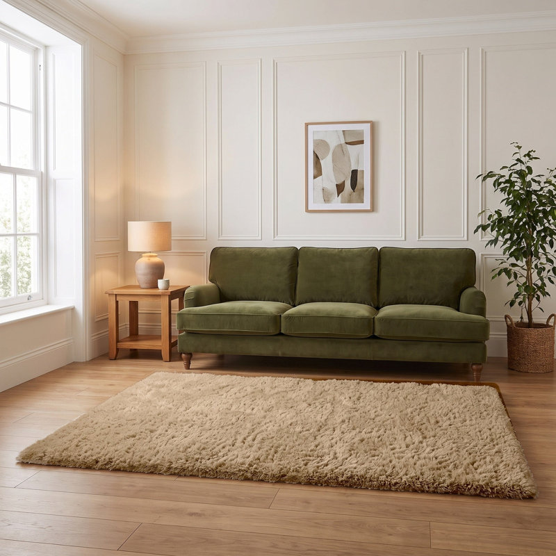 Lush Shaggy Collection Shaggy Area Rug, 50X80 cm
