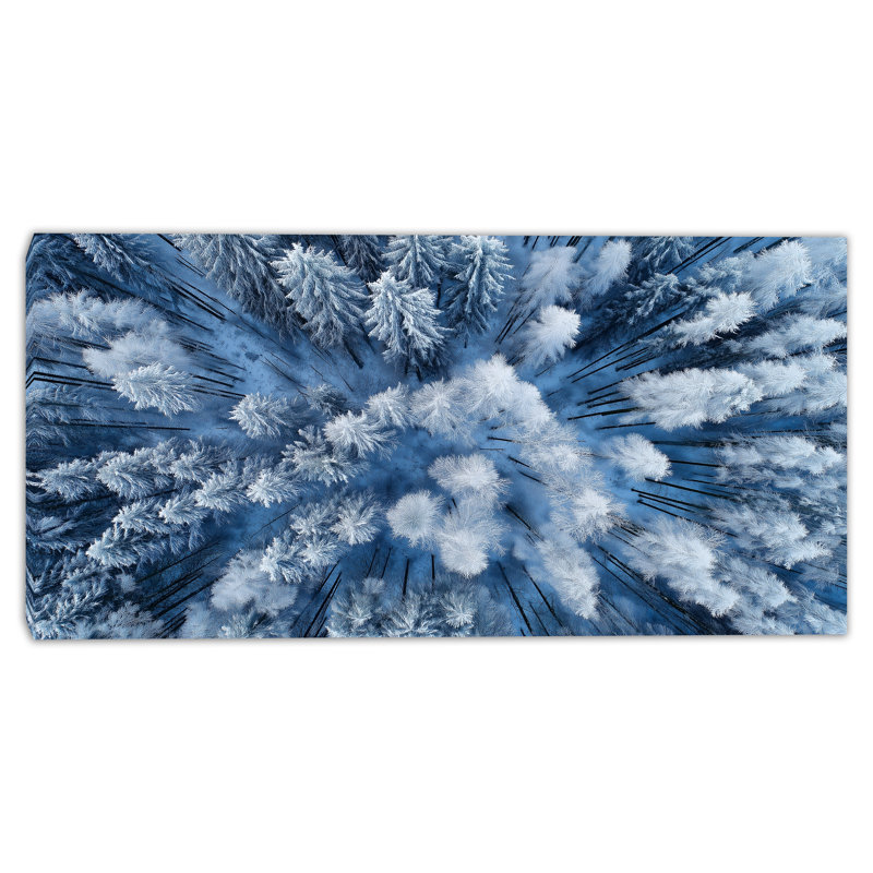 «Blue Haze Winter Trees», art mural sur toile tendue, H 20 po x l 40 po