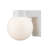Chilhowie Wall Light-39779844