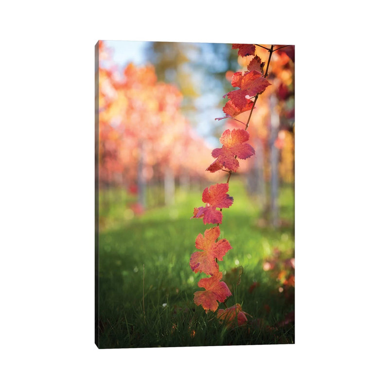 Red Vine Leaves 1 Piece Wrapped Canvas Wall Art, 20.32 cm H x 30.48 cm W