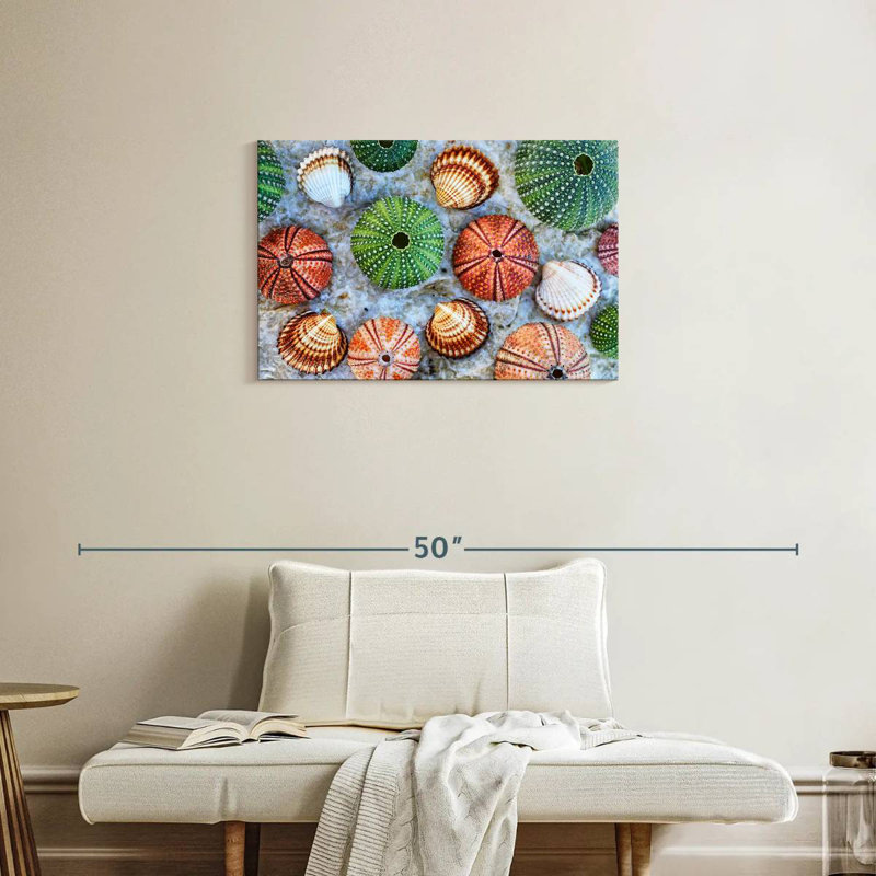 Aletra Colorful Seashells, 20" H x 30" W