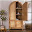 Armoire de rangement 63,39 po