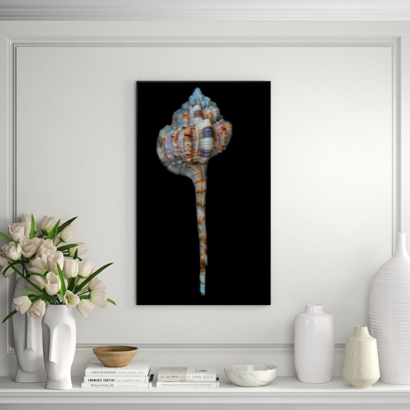 Shell Study I Print by Harold Davis, Outdoor