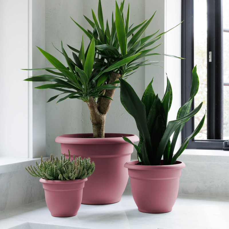 Pot à fleurs intérieur / extérieur Traditional, H 10,25 po x l 13 po x P 13 po, Pink