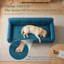 Canapé pour chien 51 po bleu-1001406076
