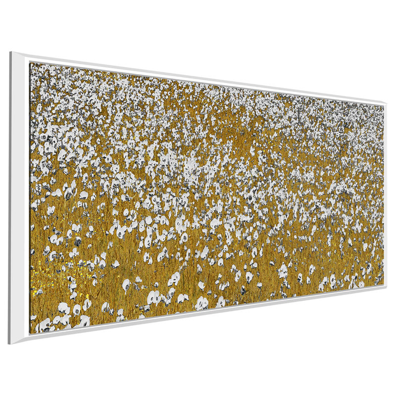 «Fields of Gold», reproduction de photo, H 27,5 po x l 43,5 po x P 2 po, Cadre flottant blanc