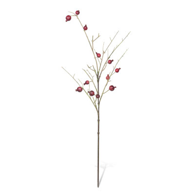 Pomegranate Branch 48"