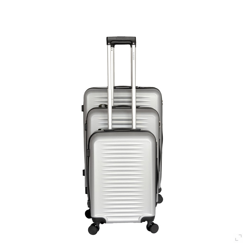 Bagages de transport pour affaires