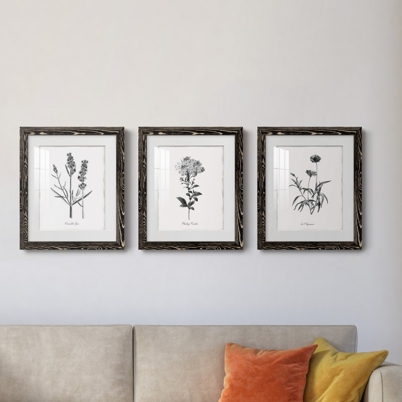 Simply Imperial - Ensemble de 3 cadres photo, H 31,5 po x l 43,5 po x P 1 po, Noir