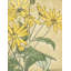 "Tournesols" par Hannah Borger Overbeck - Art sur toile tendue avec châssis-536101671