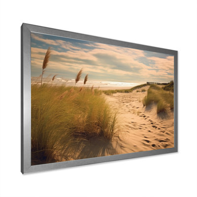 " Beach Sands Wonder "