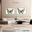 Couleurs de papillon-107671712