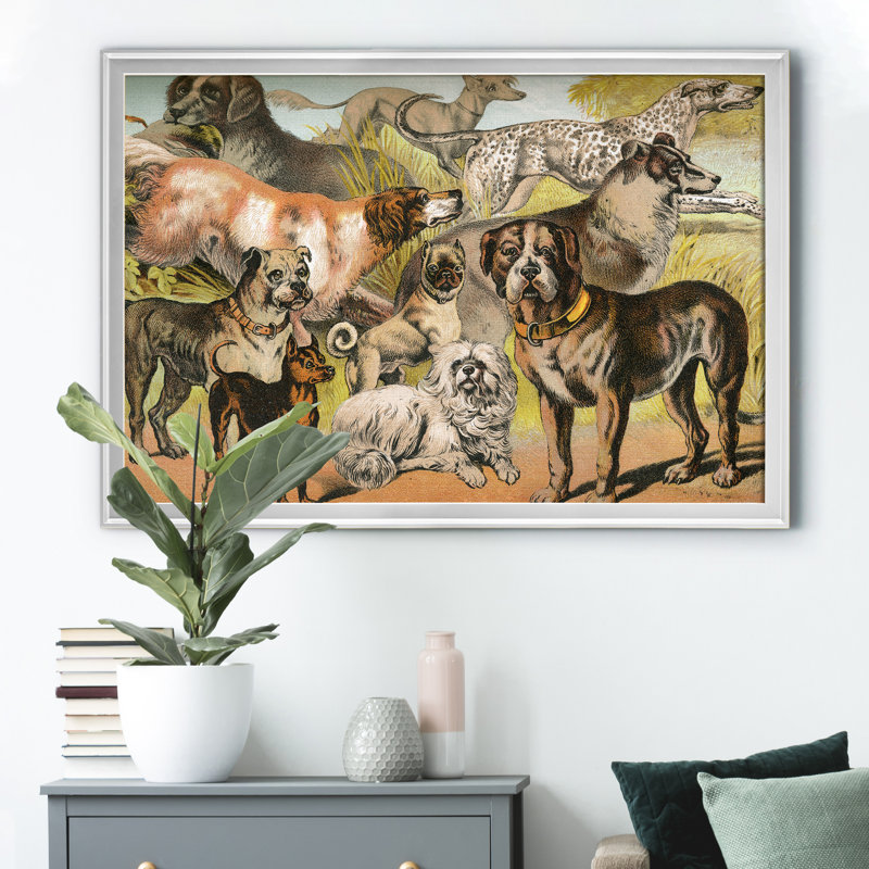 Johnsons Dog Breeds II - Reproduction d'art graphique sur toile encadrée, H 26,5 po x l 36,5 po x P 1,5 po, Argent