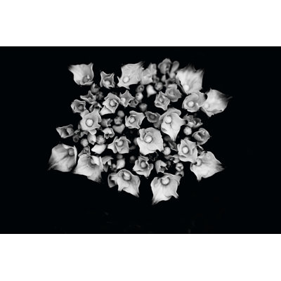 Playing Smart I by Tang Ling - No Frame Print on Canvas