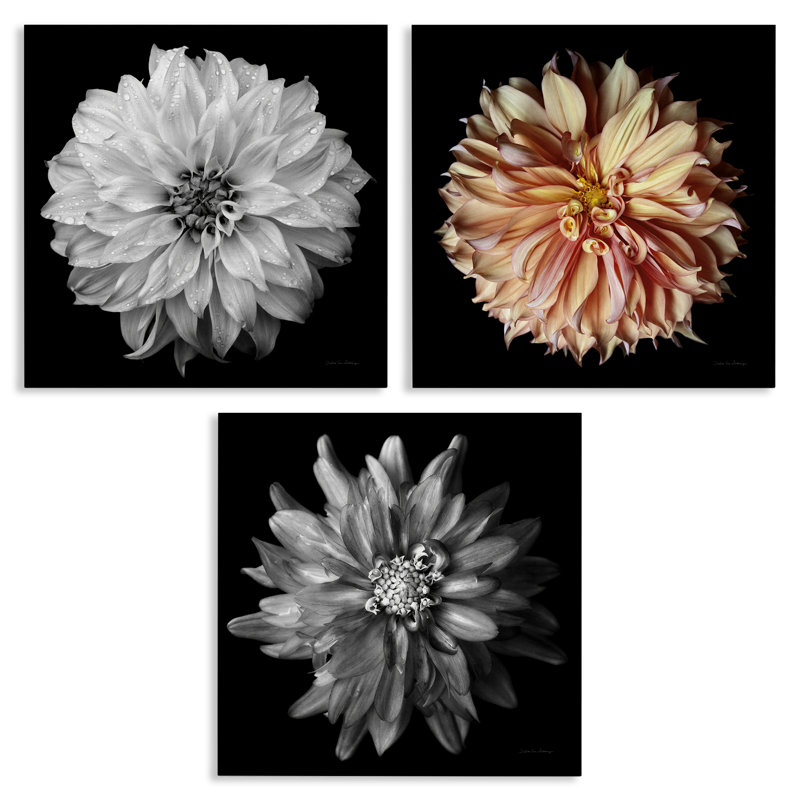 "Dahlia", ensemble de 3 reproductions d'art sur toile par Debra Van Swearingen