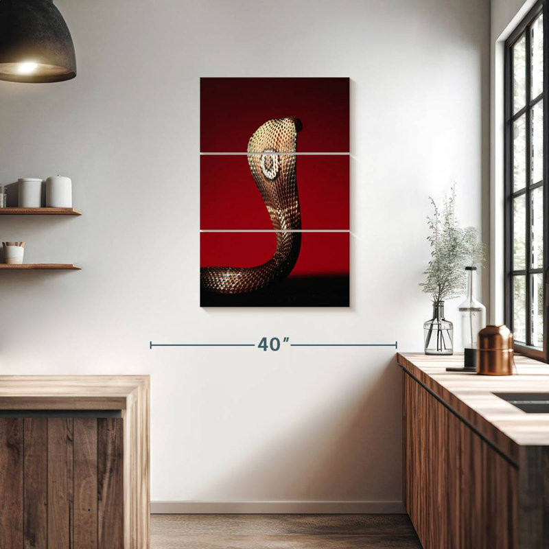 Brampt Cobra, 38" H x 24" W