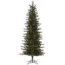 The Dynamic Fraser One Plug RGBWW LED Slender Tree, is a hassle-free and  beautifully crafted Christmas Tree that changes colors and patterns with a  simple remote control. This 10ft tree features 3774