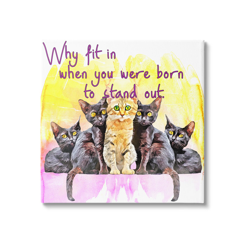 «Born to Stand Out Cats Pet» par Kim Curationa - impression sur toile tendue, H 17 po x l 17 po x P 1,5 po
