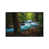 White Framed Canvas is unavailable