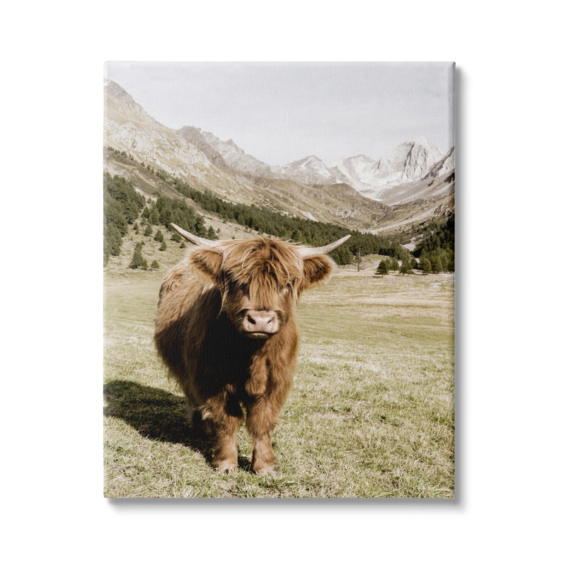 Reproduction de photo sur toile, "Highlands", H 30 po x l 24 po x P 1,5 po
