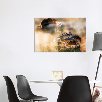 Alligator In Water With Teeth And Tail Showing by Susan Schmitz - Wrapped Canvas Gallery-Wrapped Canvas Giclée