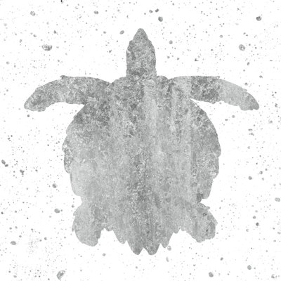 Silver Sea Life Turtle by Wild Apple Portfolio - Wrapped Canvas Painting