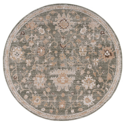 Hazel 512 Performance Oriental Rug