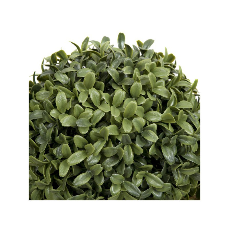 50.8cm Plant