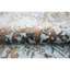 Floral Area Rug in Brown-72344684