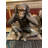 Three Wise Monkeys On Bench Large Bronze Statue Bronze - Size: 52" X 32" X 36"H