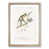 Oak Framed selected