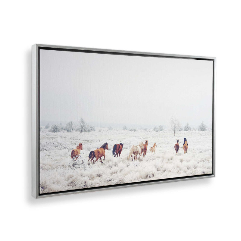 «Winter Horses» par Garima Dhawan, reproduction de photo, Argent, H 30 po x l 40 po, Impression encadrée sans passe-partout