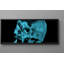 Gibbs X-Ray Photography Print-1614377016-1614377023