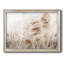 Soft Pampas Breeze - reproduction d'art sur toile encadrée-1274537562