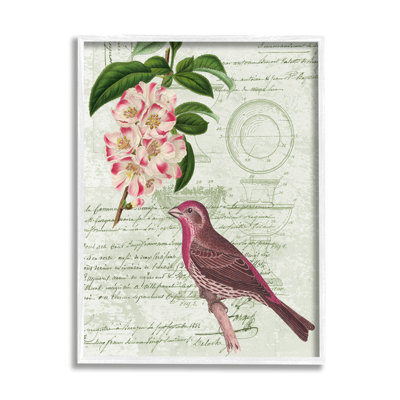 Rosier pinson par Daphne Polselli