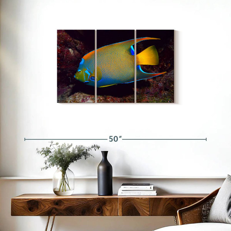 Brampt Glowing Queen Angelfish, 20" H x 33" W