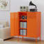 Armoire de rangement en métal-2133050615