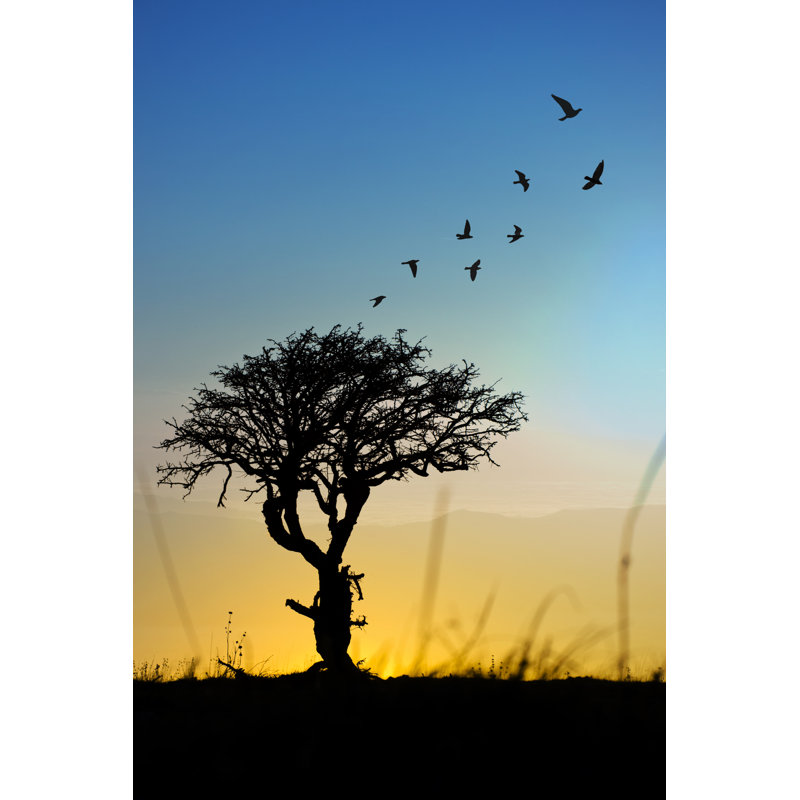 Morning - Wrapped Canvas Print, 91cm H x 61cm W x 3.8cm D