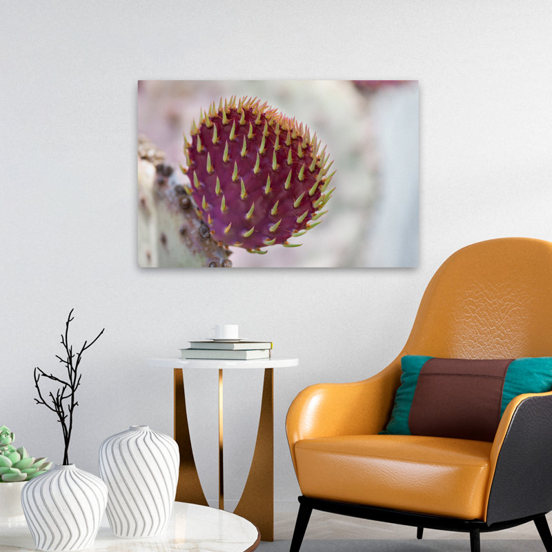 Paysage, nature, plantes, fleurs, art mural Wall of Thorns I, H 16 po x l 24 po
