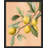 " Yellow Lemons "-98266918-98266920